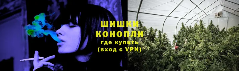 Бошки марихуана White Widow  купить закладку  Железноводск 